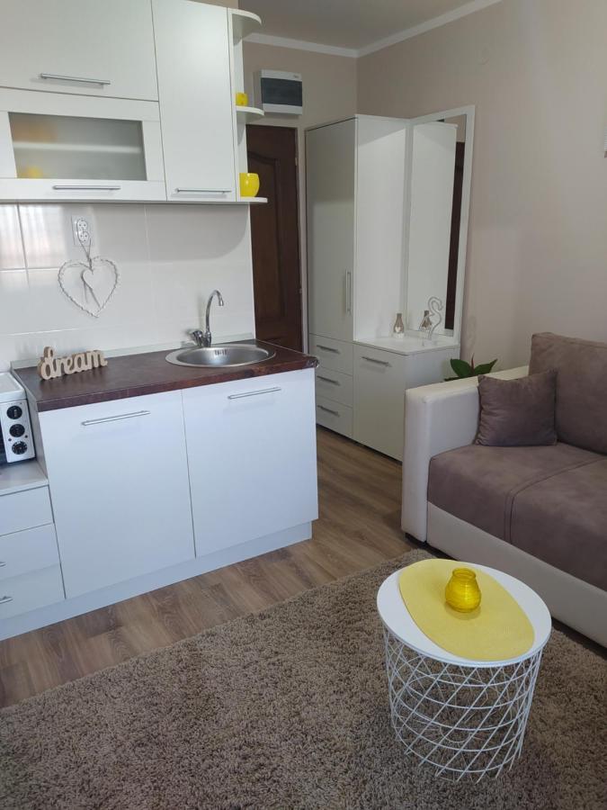 Vila Jezero Bajina Basta Kültér fotó